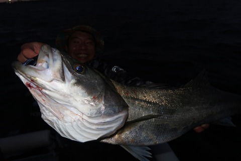 20200929053431_IMG_0294