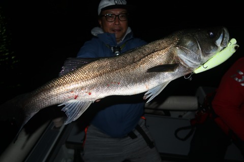 20231123183402_IMG_8655