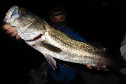 20200530010821_IMG_9085