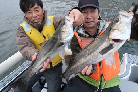 20240408175518_IMG_0945