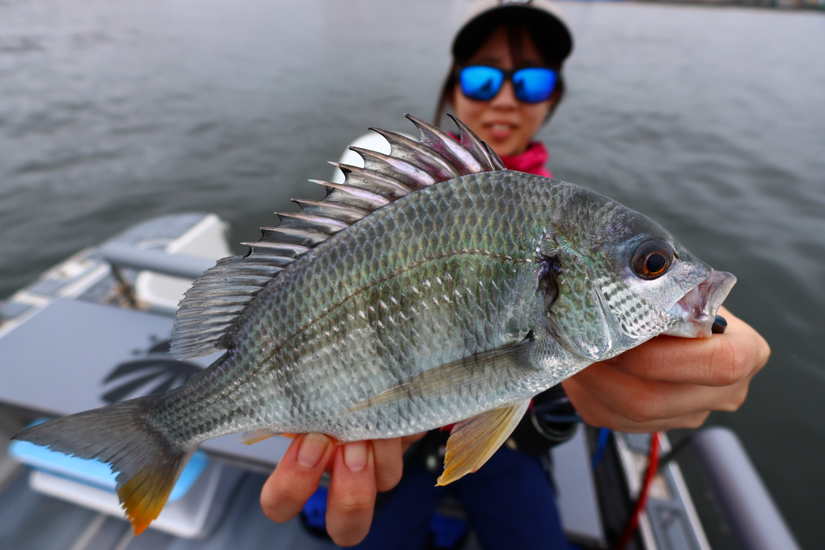 6月7日釣果情報！！ : TOKYOBAY FISHING GUIDE SERVICE Glory