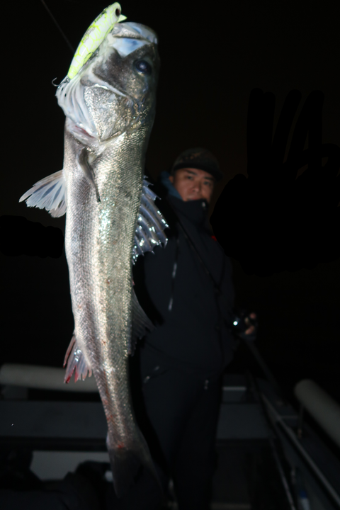 sketch-1668461888428