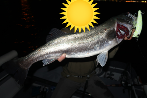 sketch-1603482264723