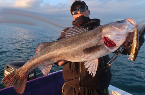 sketch-1513170513705