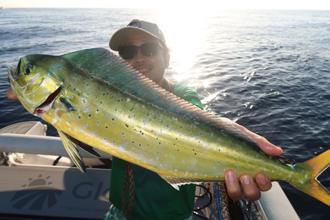 20200829063356_IMG_0003