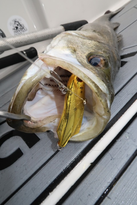 20201007152522_IMG_0450