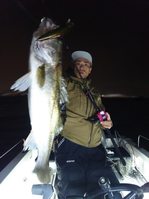 sketch-1541710211528