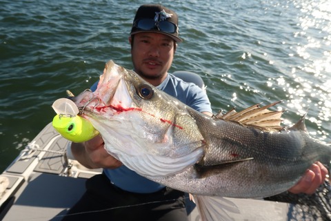 20201025144024_IMG_0848