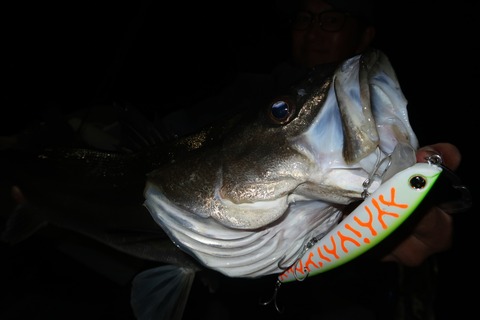 20240401211601_IMG_0805