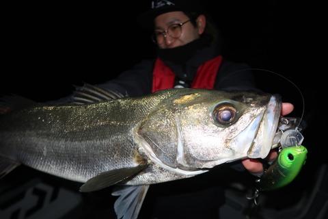 20221217011235_IMG_4153