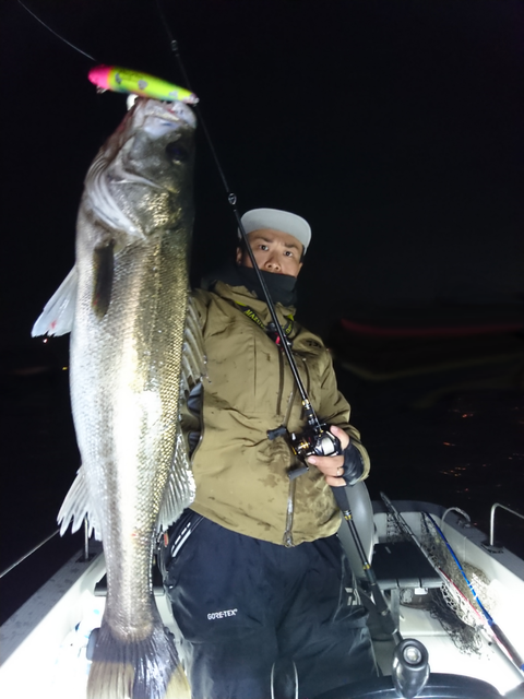 sketch-1543160423865