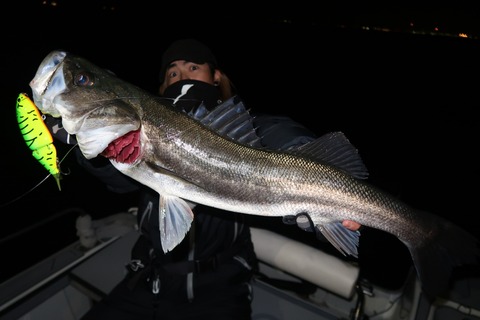 20200314001223_IMG_7943