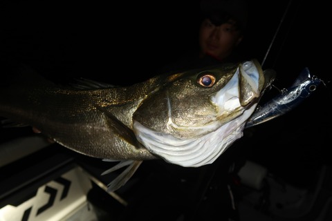 20221023003722_IMG_2664