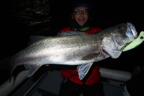 20221217180625_IMG_4178