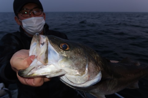 20200503045410_IMG_8691