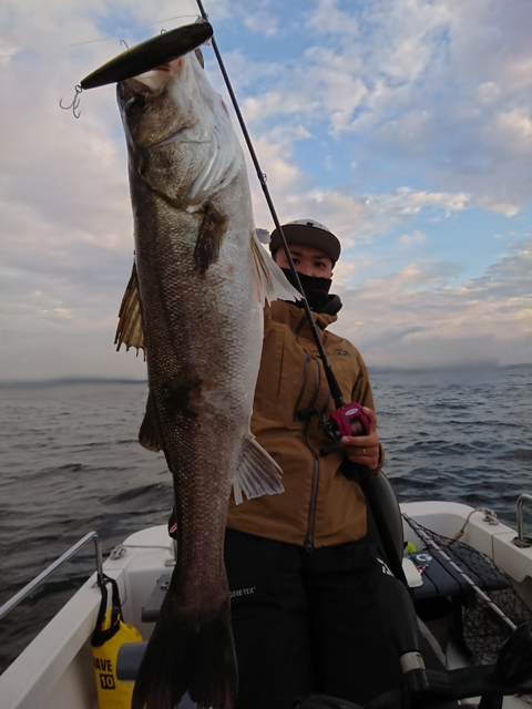 sketch-1539766415002