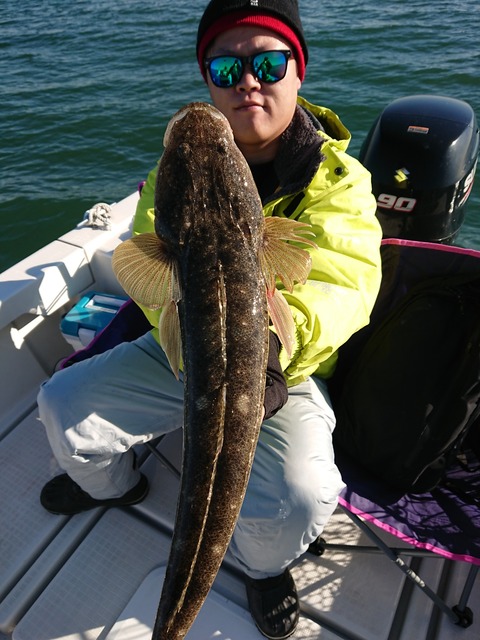 [画像:1885e00b-s.jpg]