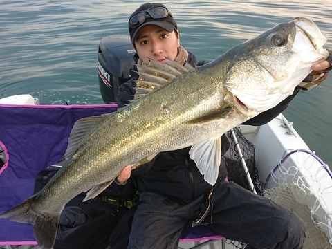 [画像:19213c21-s.jpg]