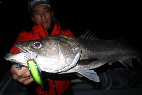 20221031222638_IMG_2886