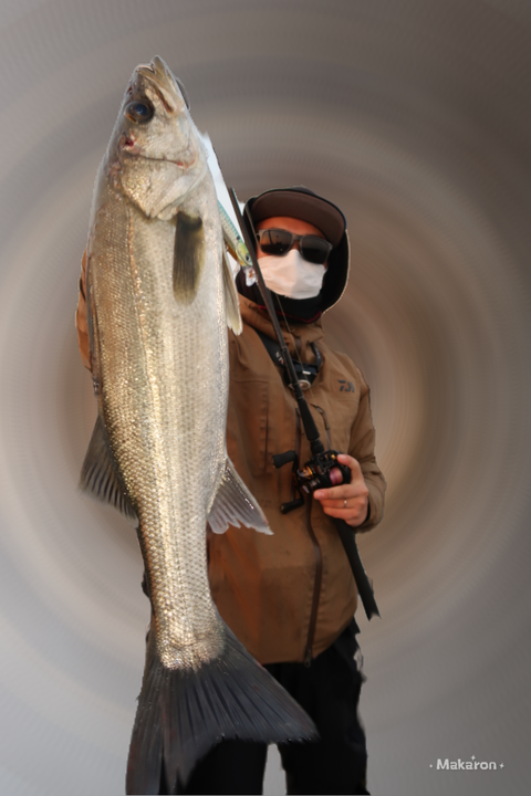 16B433F0390E2A168395A0958EAB0DD7