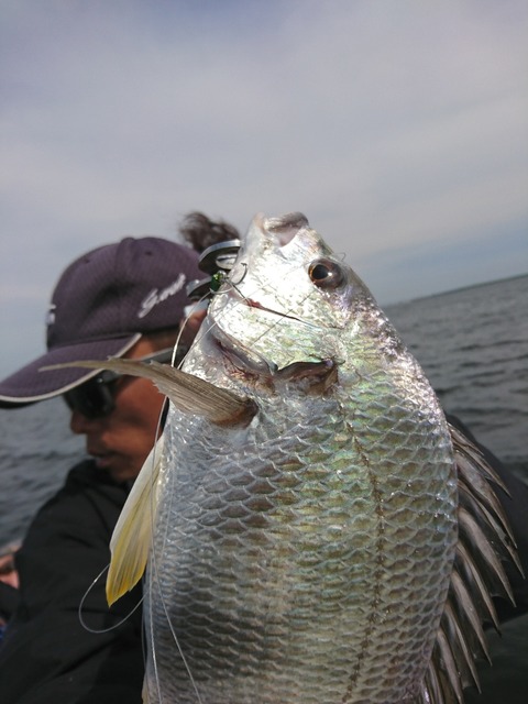 [画像:1a61444f-s.jpg]