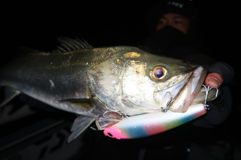 20221221031934_IMG_4245