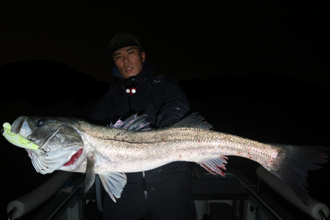 sketch-1668461479257