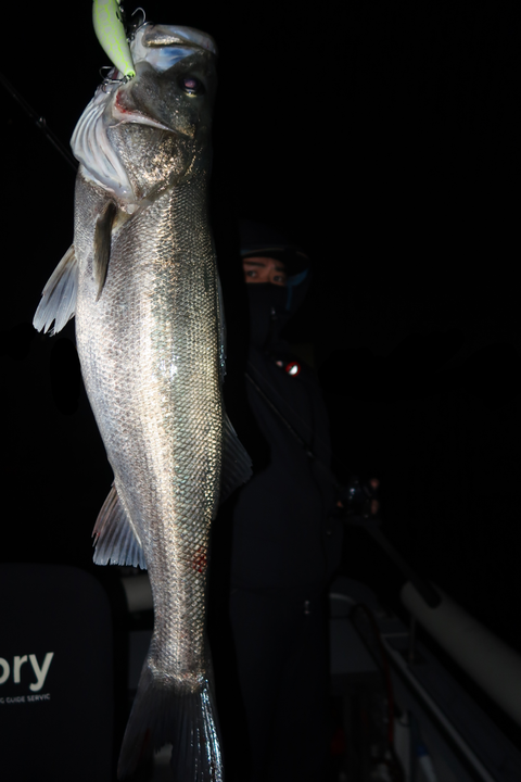 sketch-1671055114825