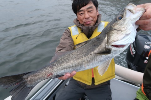 20240408175543_IMG_0950