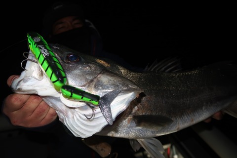 20220225202450_IMG_9812