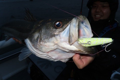 20201007172241_IMG_0462