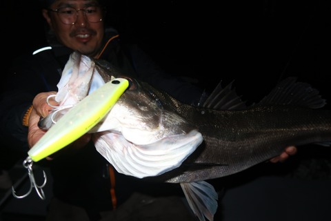 20240406215503_IMG_0889