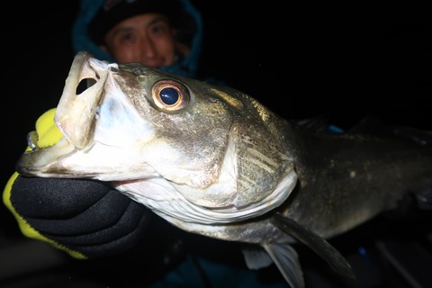 20240221202101_IMG_0064