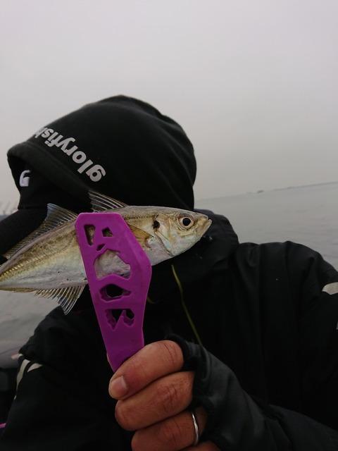 [画像:1d2007b3-s.jpg]