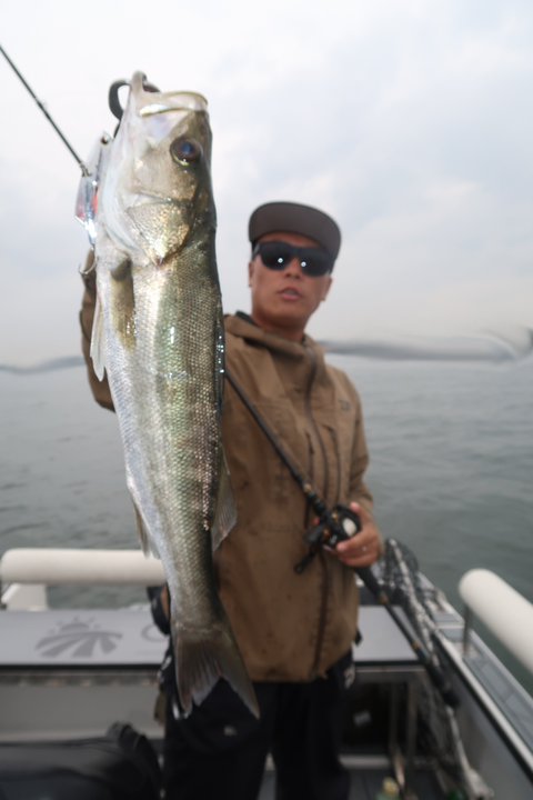 sketch-1600726269865