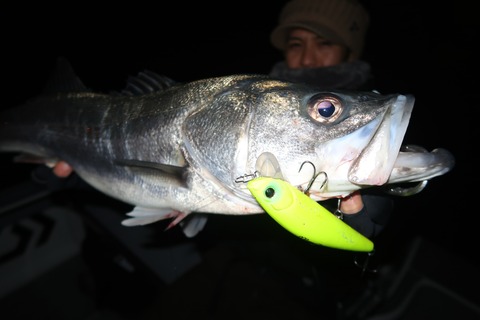 20221213231112_IMG_4113