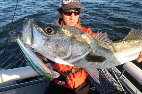 20200928074533_IMG_0271