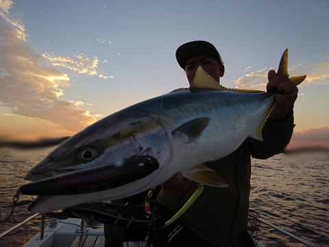 sketch-1540900784761