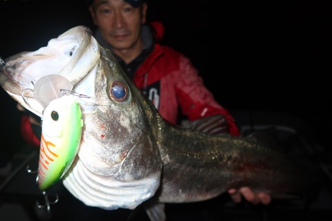 20221115002555_IMG_3317