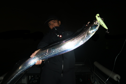 sketch-1668808138003