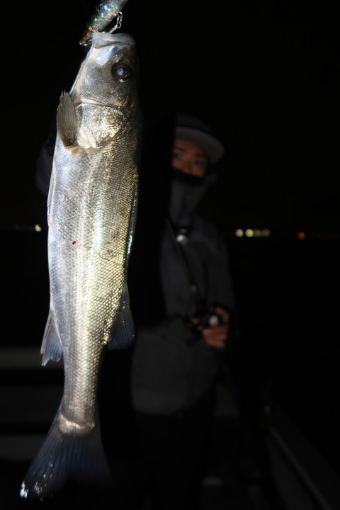 20200329194508_IMG_8151