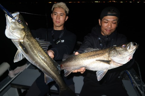 20240425195130_IMG_1208