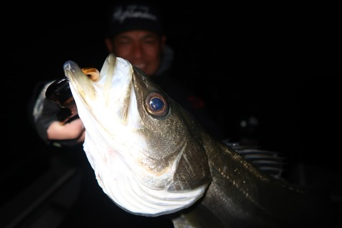 20200311224216_IMG_7930