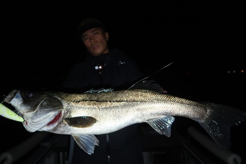 20221102002848_IMG_2938