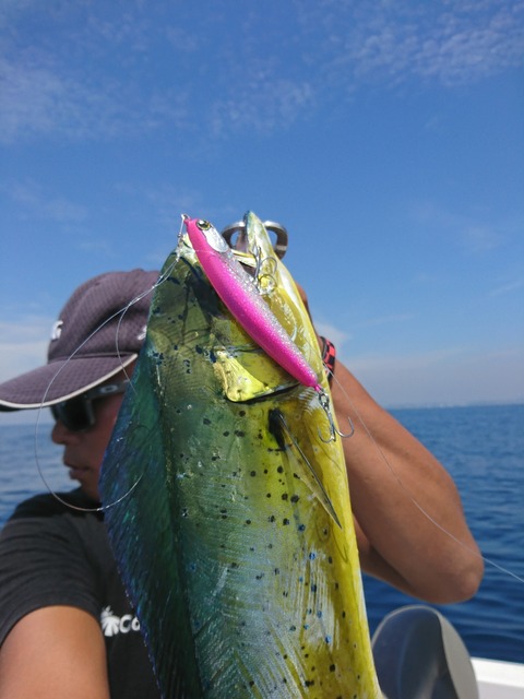 [画像:211efc91-s.jpg]