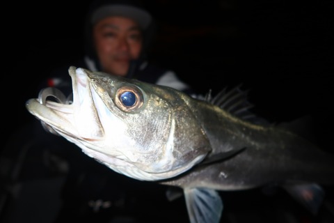 20200302215503_IMG_7838