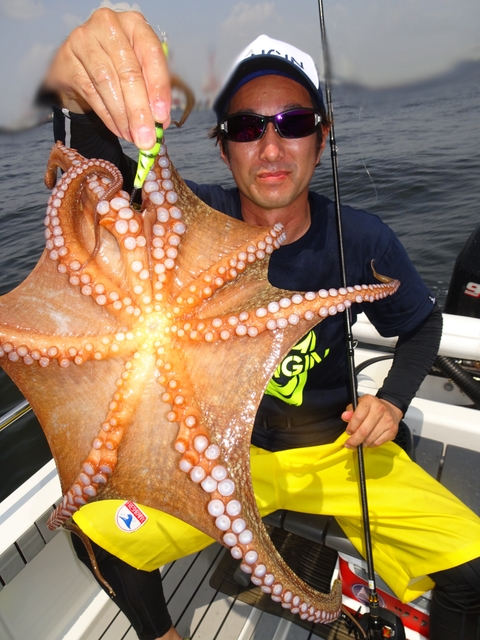 sketch-1564382688924