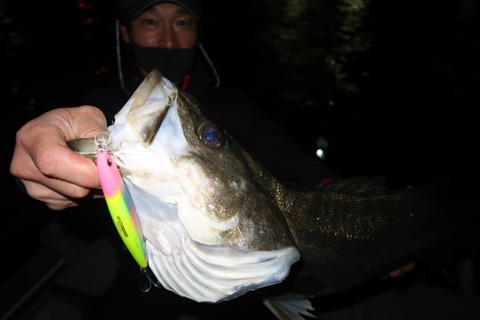 20200428213845_IMG_8597