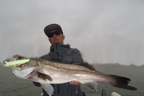 sketch-1602440784829