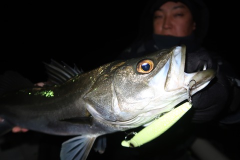 20240107211144_IMG_9561